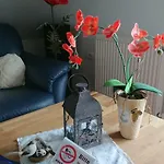 Ferienhaus Wieke