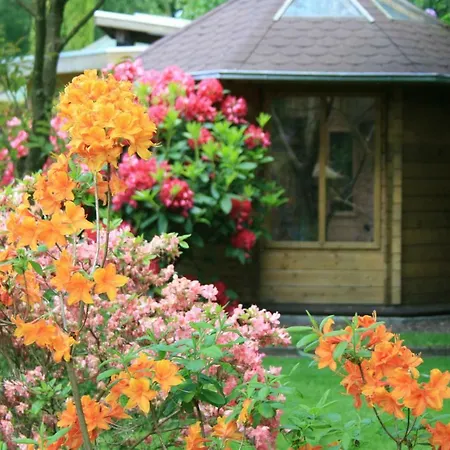 Wieke Casa vacanze *